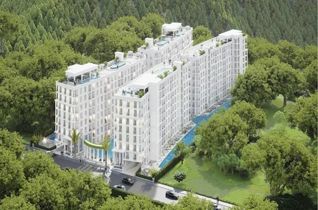 banner-project-details